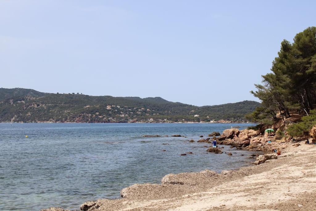Studio L'Echappee Mandreenne Le Calme Entre Mer Et Foret แซ็ง-ม็องดรีเย-โซร์-แม ภายนอก รูปภาพ