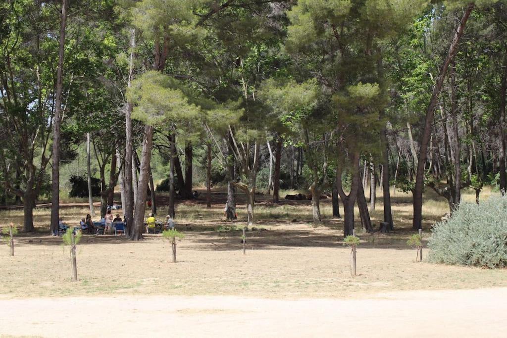 Studio L'Echappee Mandreenne Le Calme Entre Mer Et Foret แซ็ง-ม็องดรีเย-โซร์-แม ภายนอก รูปภาพ