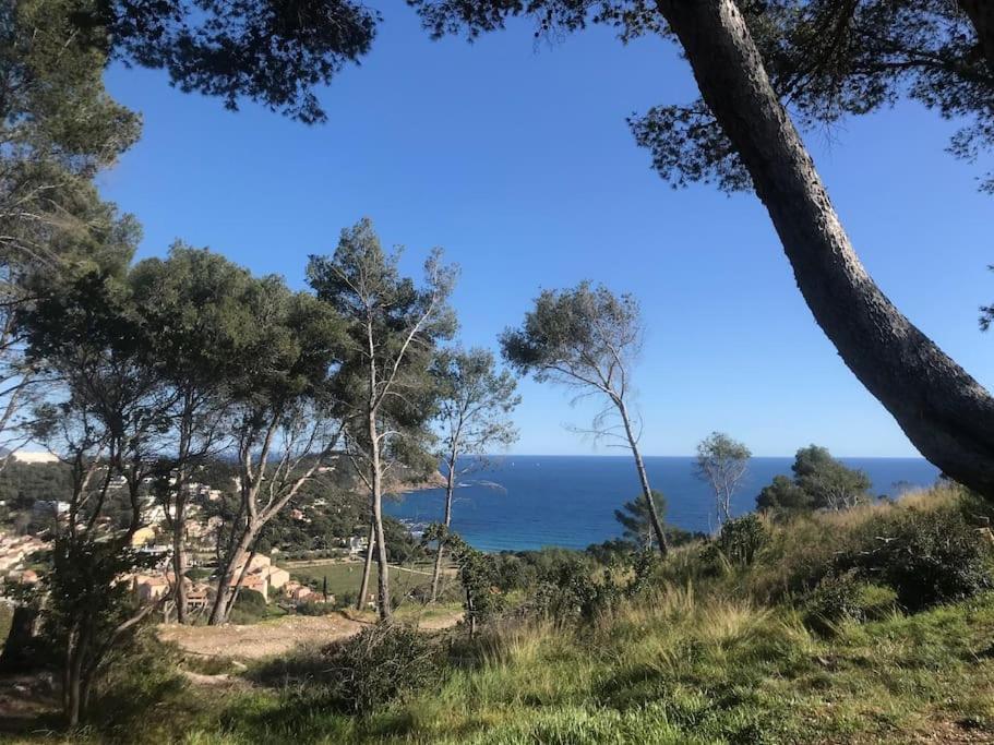 Studio L'Echappee Mandreenne Le Calme Entre Mer Et Foret แซ็ง-ม็องดรีเย-โซร์-แม ภายนอก รูปภาพ