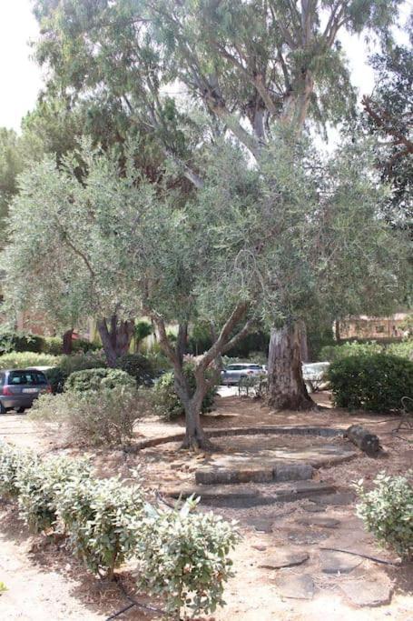 Studio L'Echappee Mandreenne Le Calme Entre Mer Et Foret แซ็ง-ม็องดรีเย-โซร์-แม ภายนอก รูปภาพ