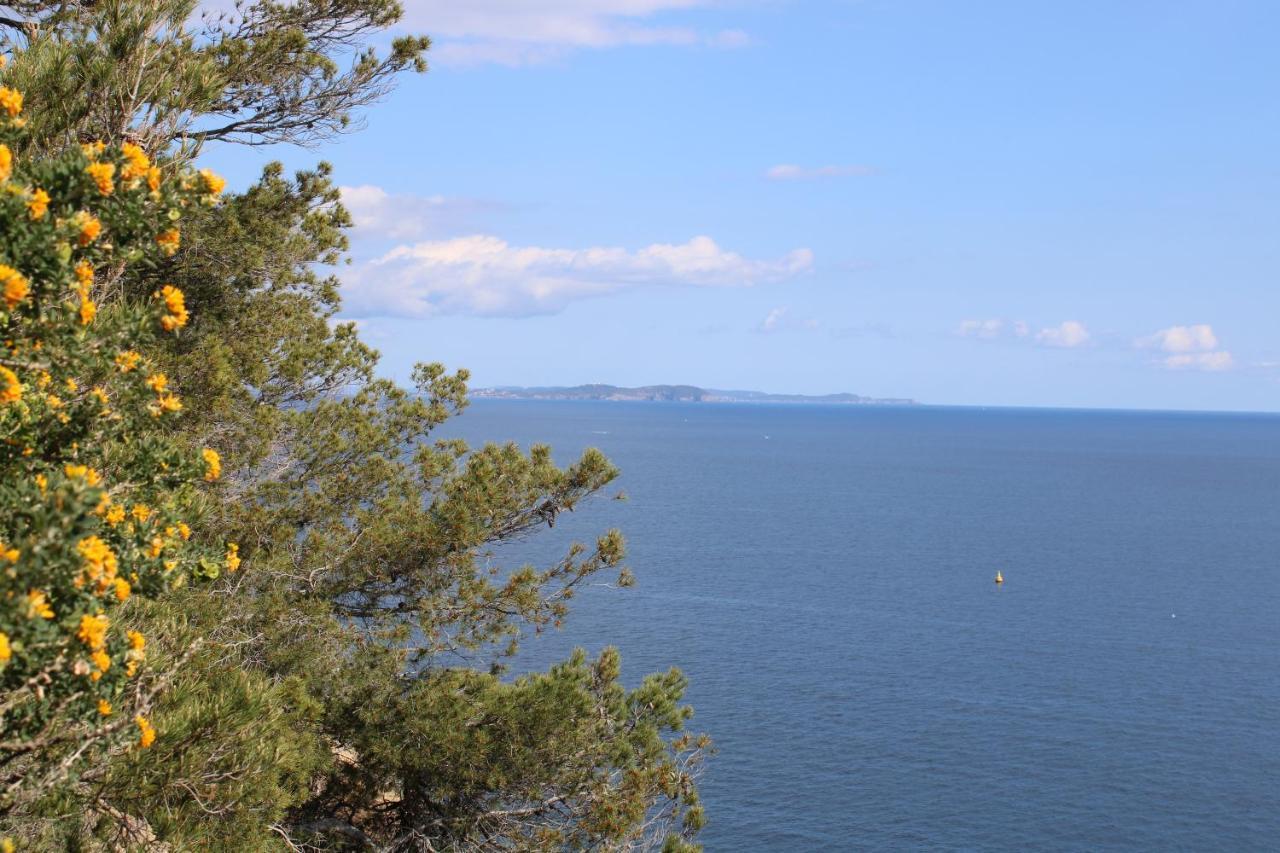 Studio L'Echappee Mandreenne Le Calme Entre Mer Et Foret แซ็ง-ม็องดรีเย-โซร์-แม ภายนอก รูปภาพ